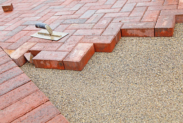 Best Driveway Paving Contractor  in Wayne, MI